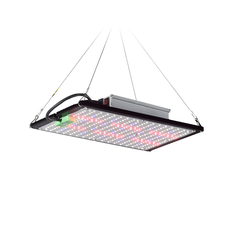 Lámpara de Cultivo LED Quantum - Led Grow Light reseña y precio