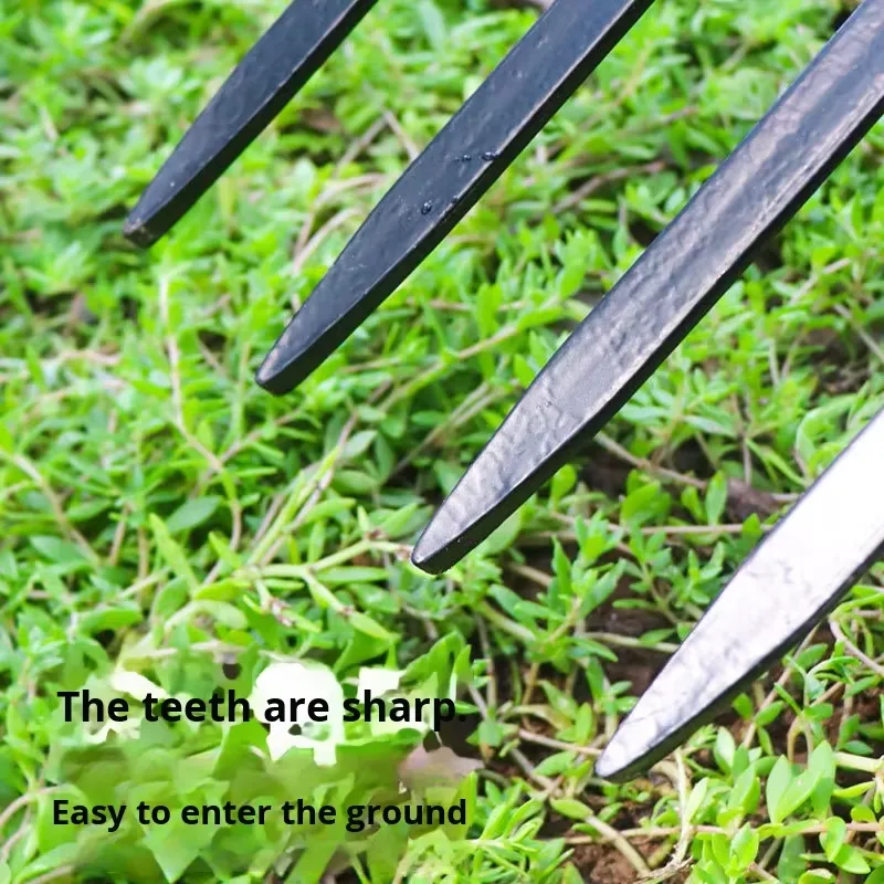 Herramienta agrícola de cuatro - Spade Digging Fork reseña y precio