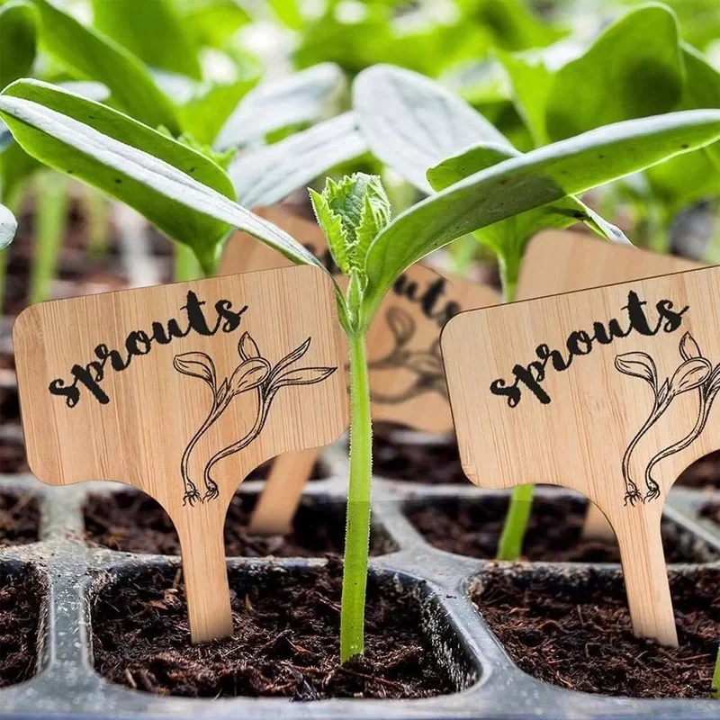 10-60 unidades de etiquetas de - Plant Label Tags reseña y precio