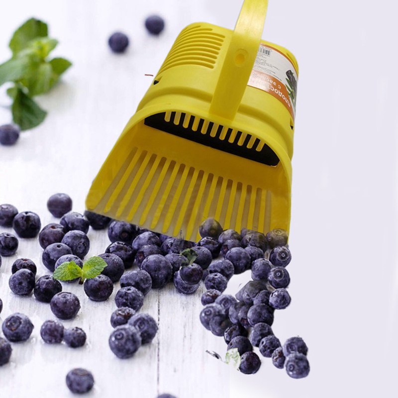Herramienta manual de jardiner - Gardening Tools Rake reseña y precio