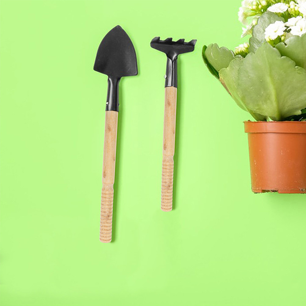 Juego de 5 mangos de madera re - Gardening Tools Spade reseña y precio