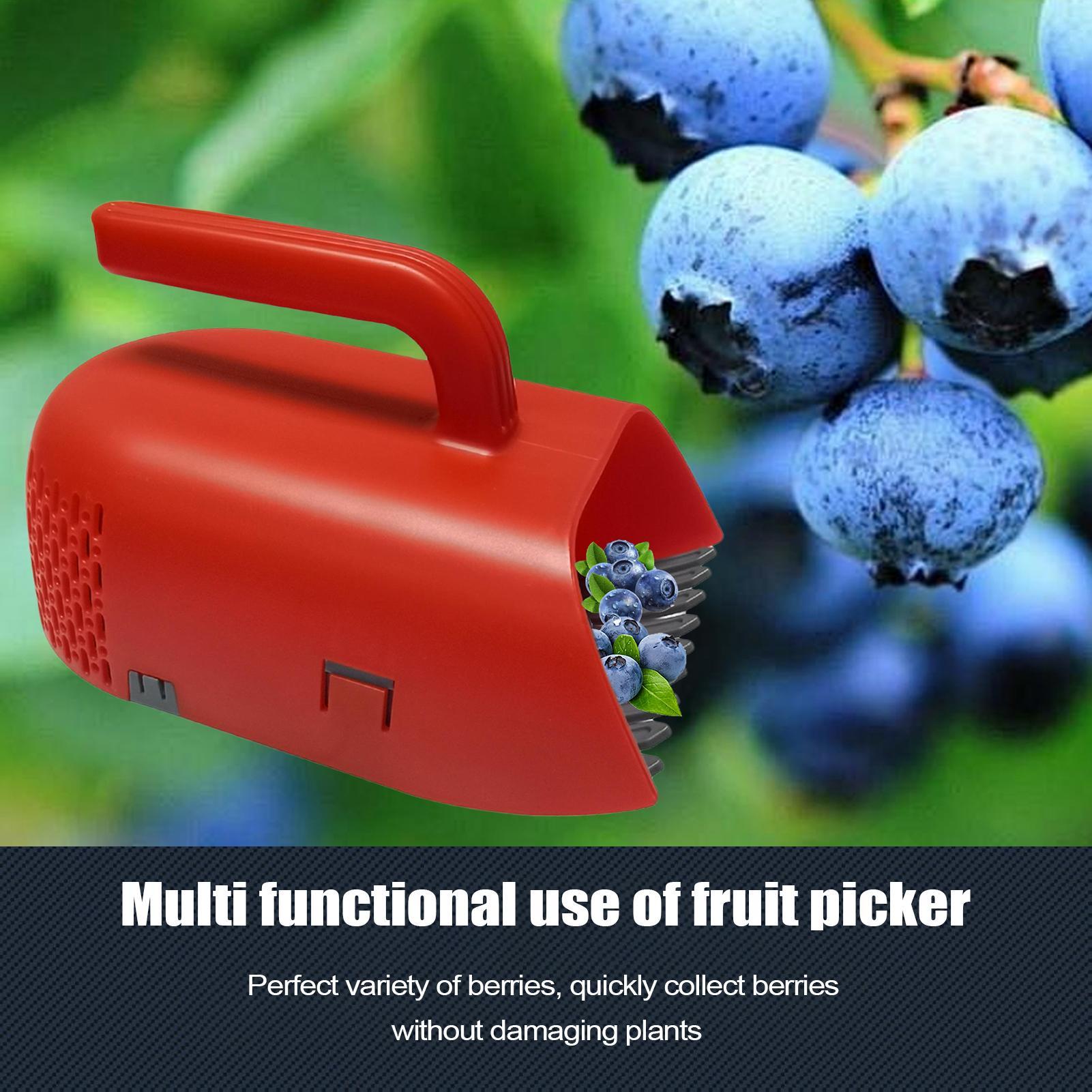 Recogedor de Bayas con Mango E - Gardening Tools Rake reseña y precio