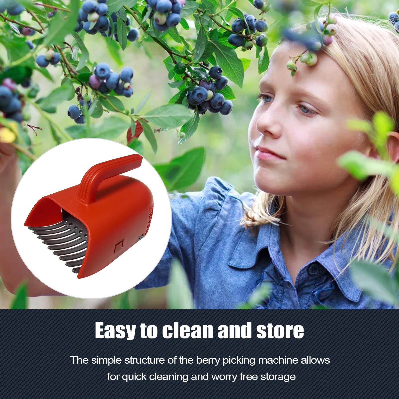 Recogedor de Bayas con Mango E - Gardening Tools Rake reseña y precio