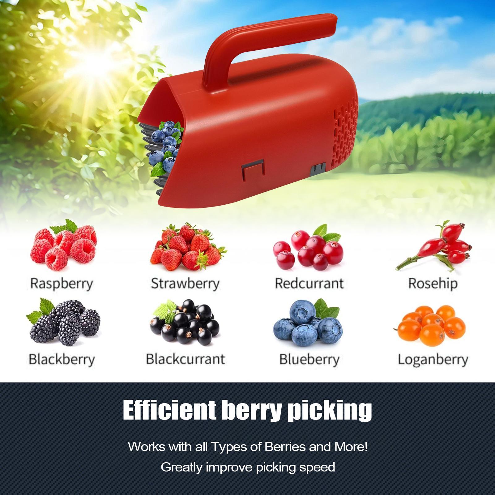 Recogedor de Bayas con Mango E - Gardening Tools Rake reseña y precio