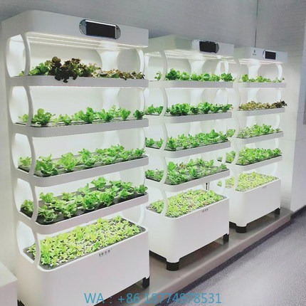 Sistema de cultivo automatizad - Led Grow Light reseña y precio